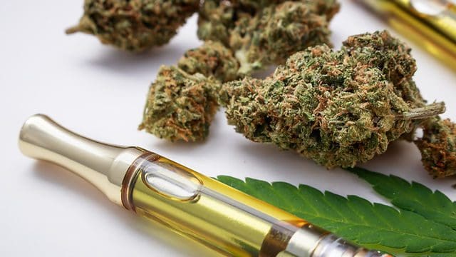 Cannabis
